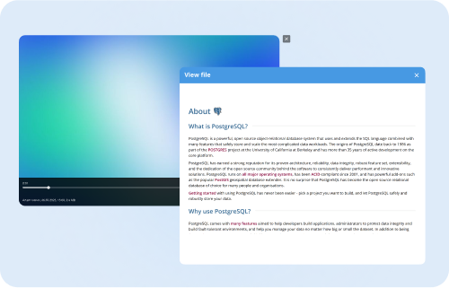 View files within the application